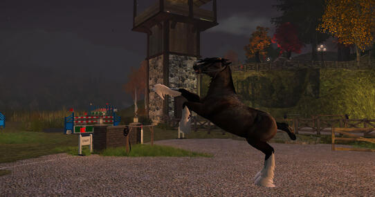 Equestrian Center